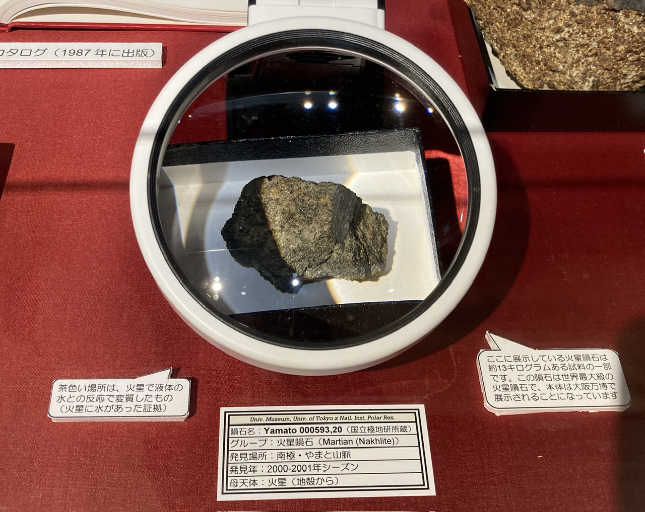 月のカケラ　NEA001　月隕石標本　最後の一個 隕石ー星のカケラが語ること」文京区教育センター2階 | もりくまの