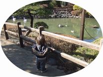 20120219_庭園.JPG