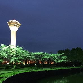 ５－４９桜２.JPG