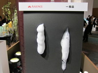 Img_1547 Img_1547