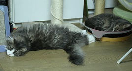 5DA_4796-20.jpg