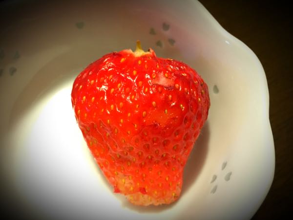rblog-20150225215114-00.jpg