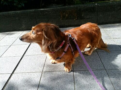rblog-20160426083051-01.jpg