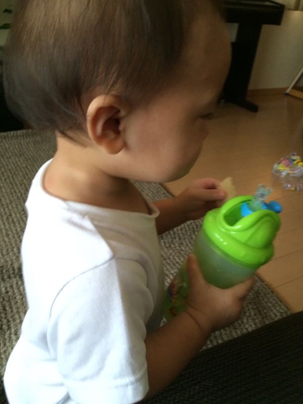 rblog-20150819234332-01.jpg