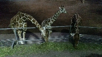 rblog-20130811214546-03.png