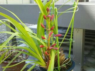 rblog-20140320082534-00.jpg