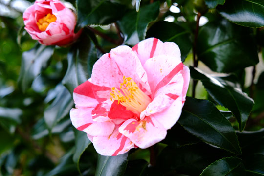 2015 12 15_1137.jpg