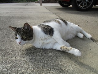 IMG_4456ss.jpg