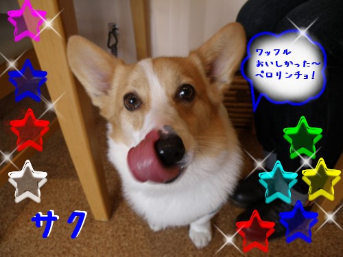 ｻｸ.JPG