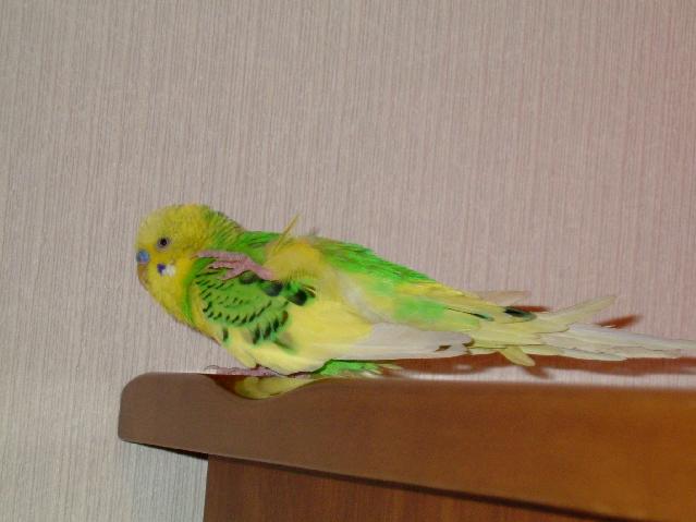 DSCF4270.jpg