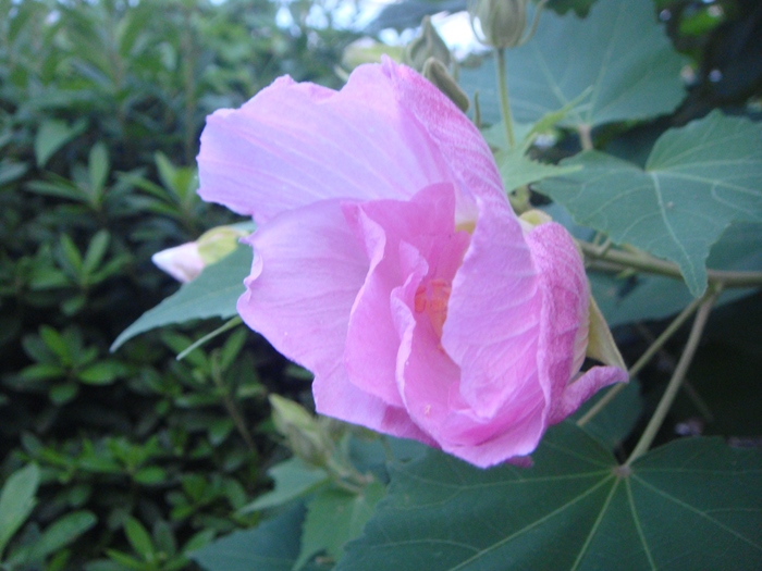 DSC09855.JPG