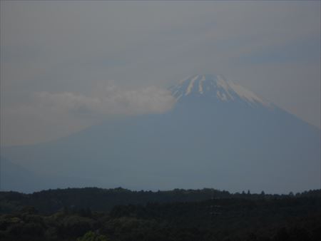 三島スカイウォーク