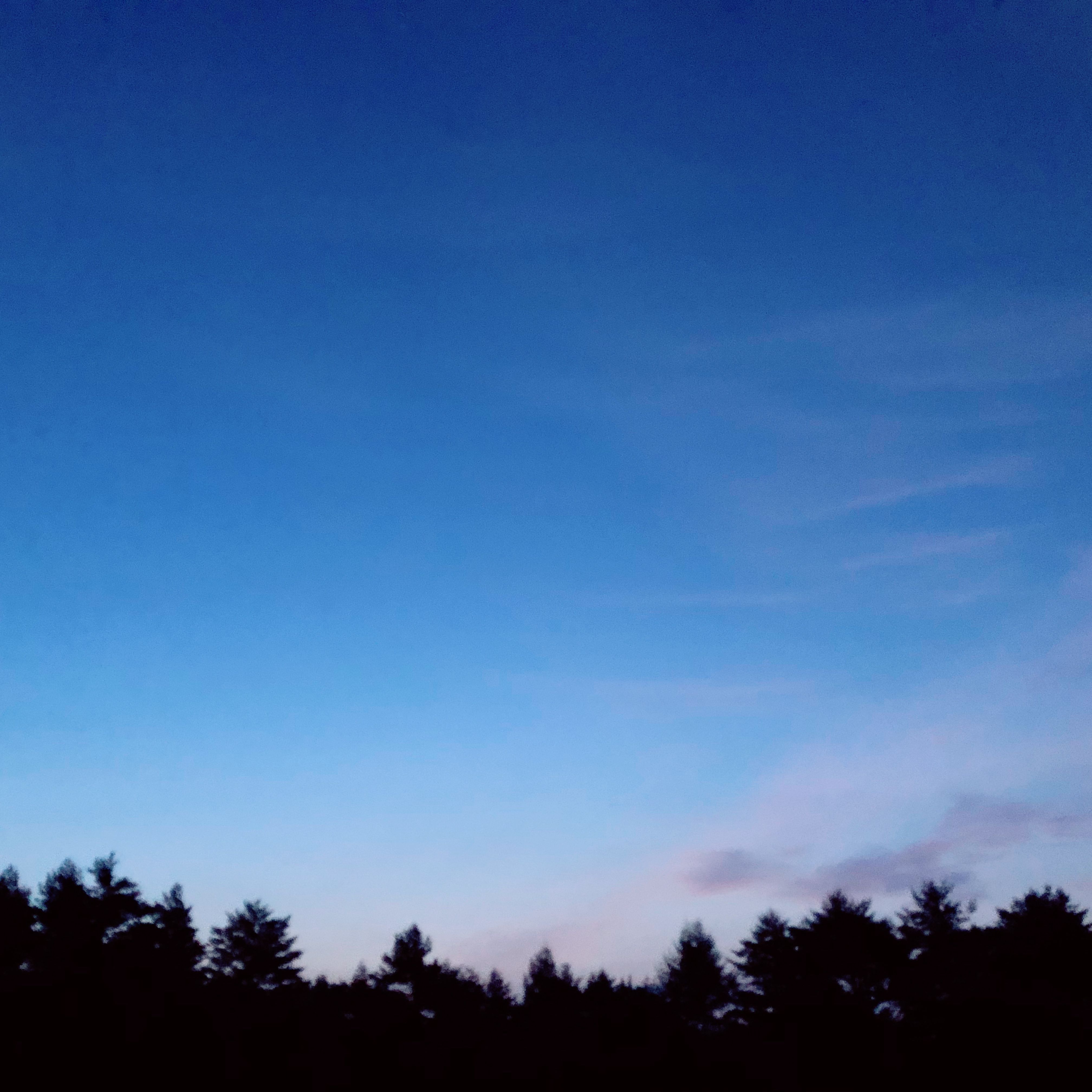 ＊mimizuのコスメ記録＊