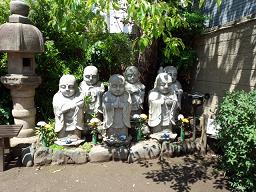 IMG_20130512_125222863.jpg