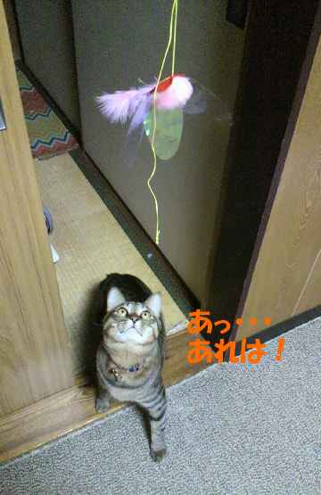 20140226あれは・・・.jpg