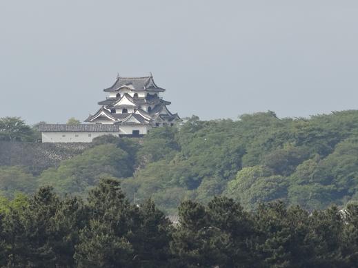 ホテルから見た彦根城.JPG