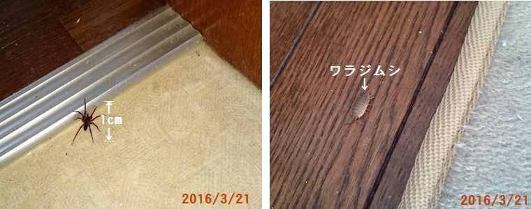 ３／２１色々出て来る.jpg