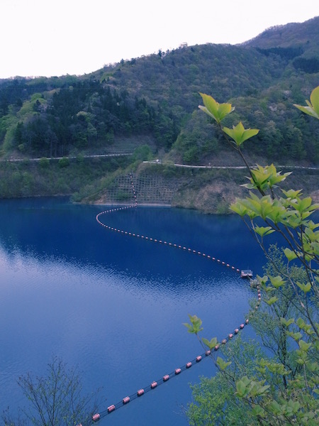 R0010076.jpg