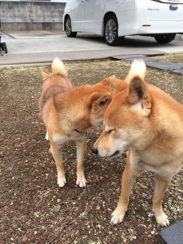 rblog-20160115030411-01.jpg