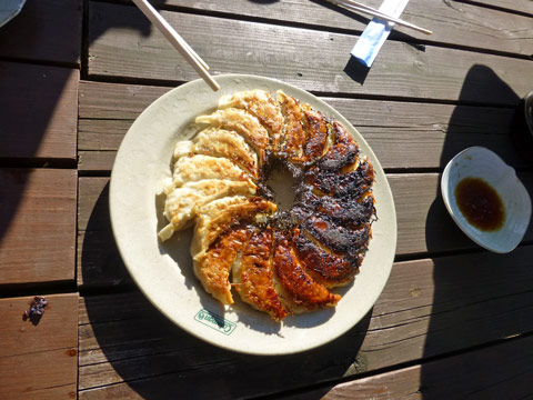 gyoza.jpg