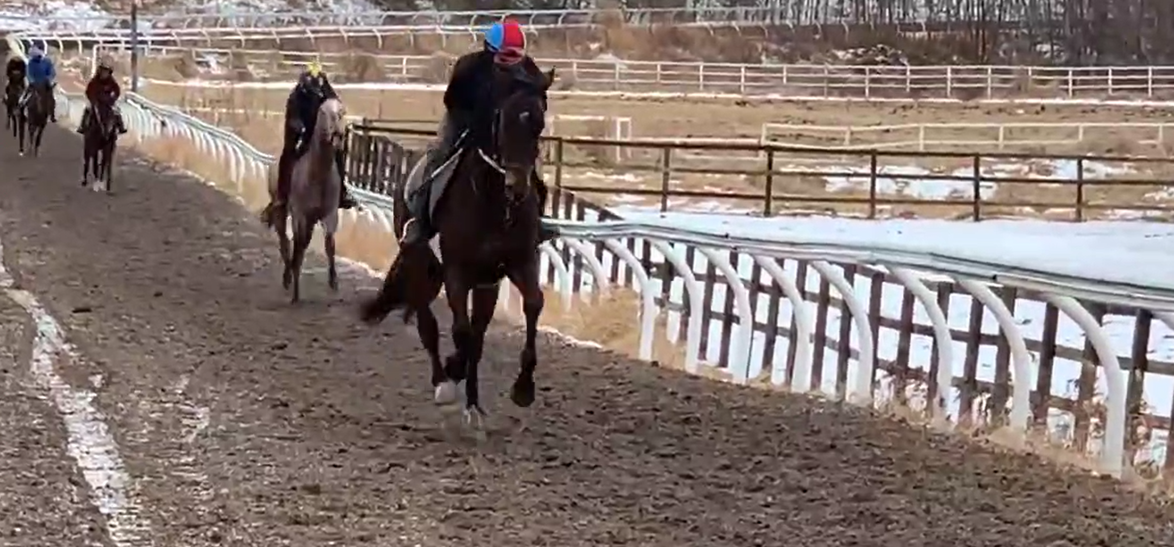 ミノルロドリゴの地方競馬・馬主ブログ