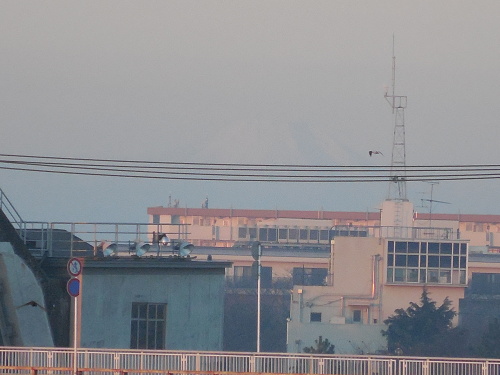 008.JPG