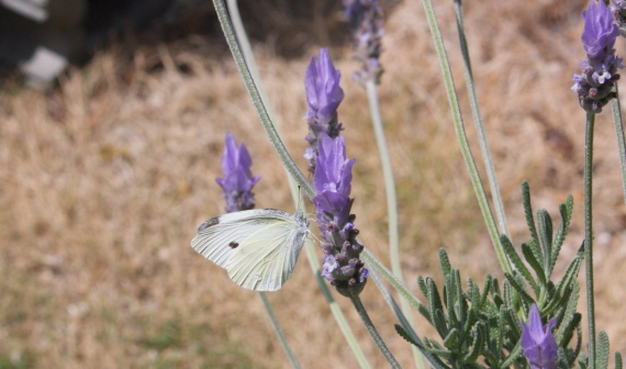 20160529006.jpg
