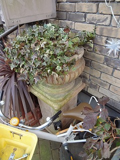 DSC03465.jpg