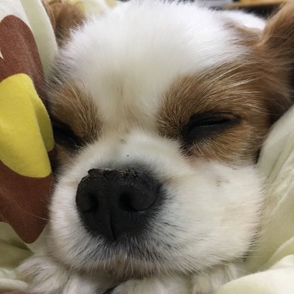 rblog-20180531233623-01.jpg