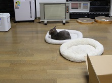 5DA_3289-22.jpg