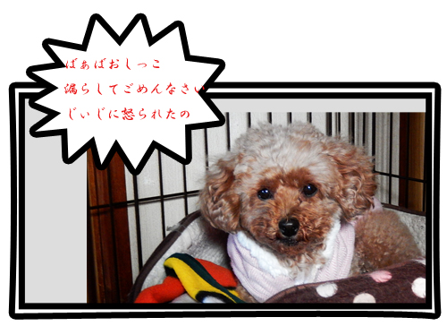 こころ１１