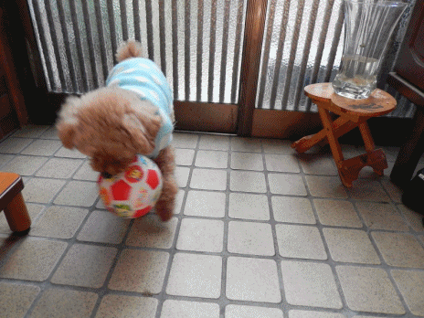 こころアニメ１
