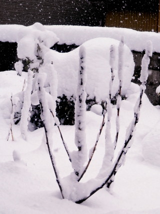 雪のオブジェ　2.9　2015