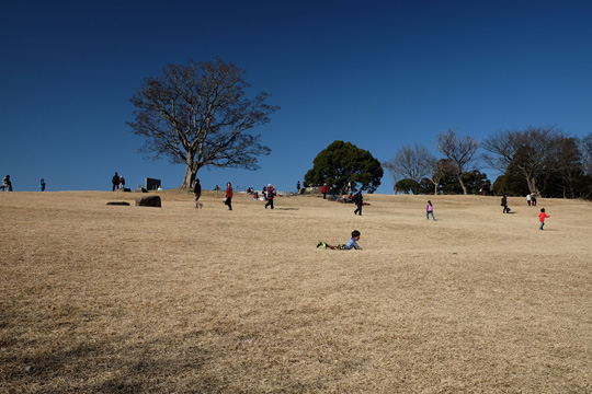 DSCF1529.jpg