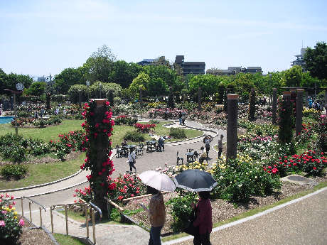 barakouenn 