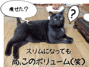 P7100037.png