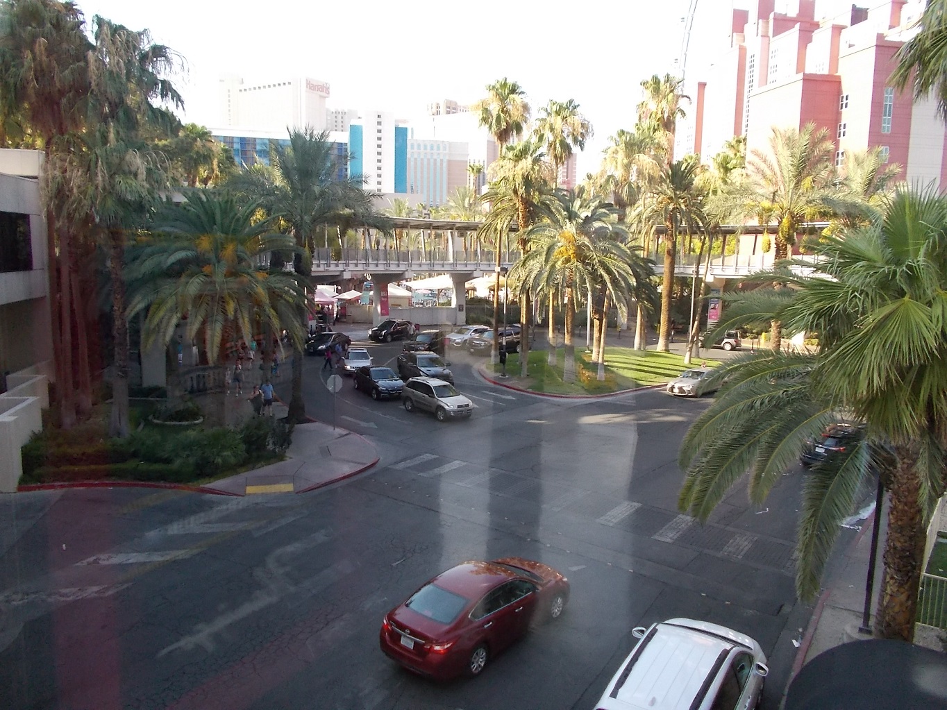 DSCN0982.JPG