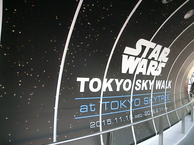 ｽｶｲﾂﾘｰ初日の出 (60).JPG