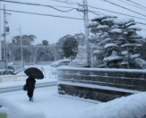 IMG_0735 - コピー.JPG