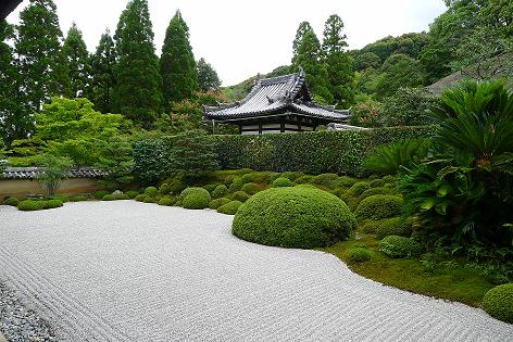 P1010018.JPG