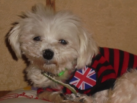 DSC01150.JPG