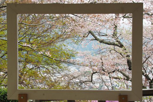 尾関山公園 鳳源寺の散り桜 くり坊のひとりごと Blog版 楽天ブログ