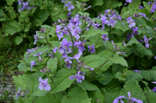 rblog-20160404010154-01.jpg
