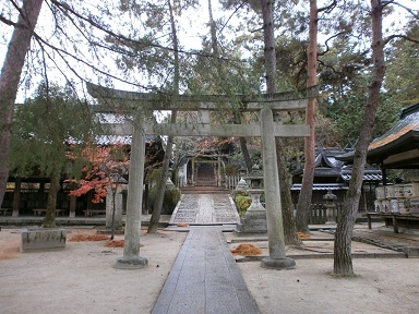 京都　今宮神社