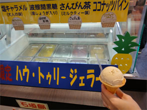 石垣72.jpg