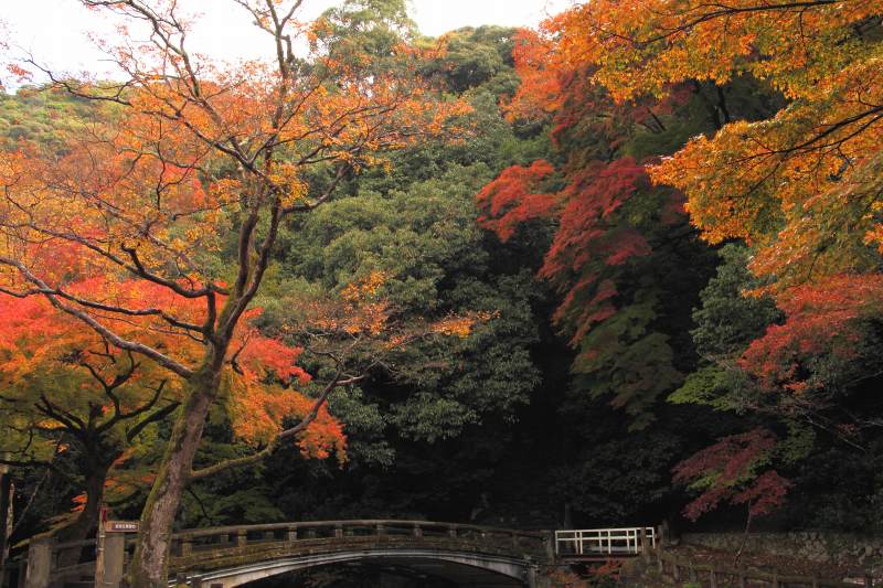 箕面公園_3-4.jpg