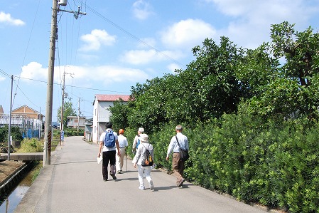 s-DSC_0472.jpg