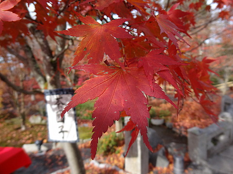 2012120217