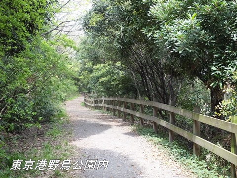 東京港野鳥公園にて