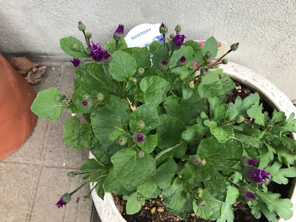 rblog-20190423182202-08.jpg